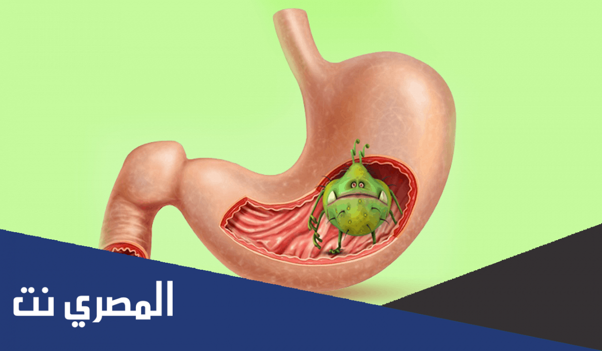 مدة كورس علاج جرثومة المعدة