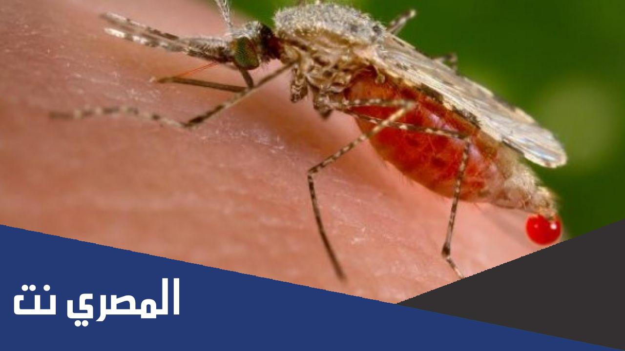 مرض الملاريا وأعراضه