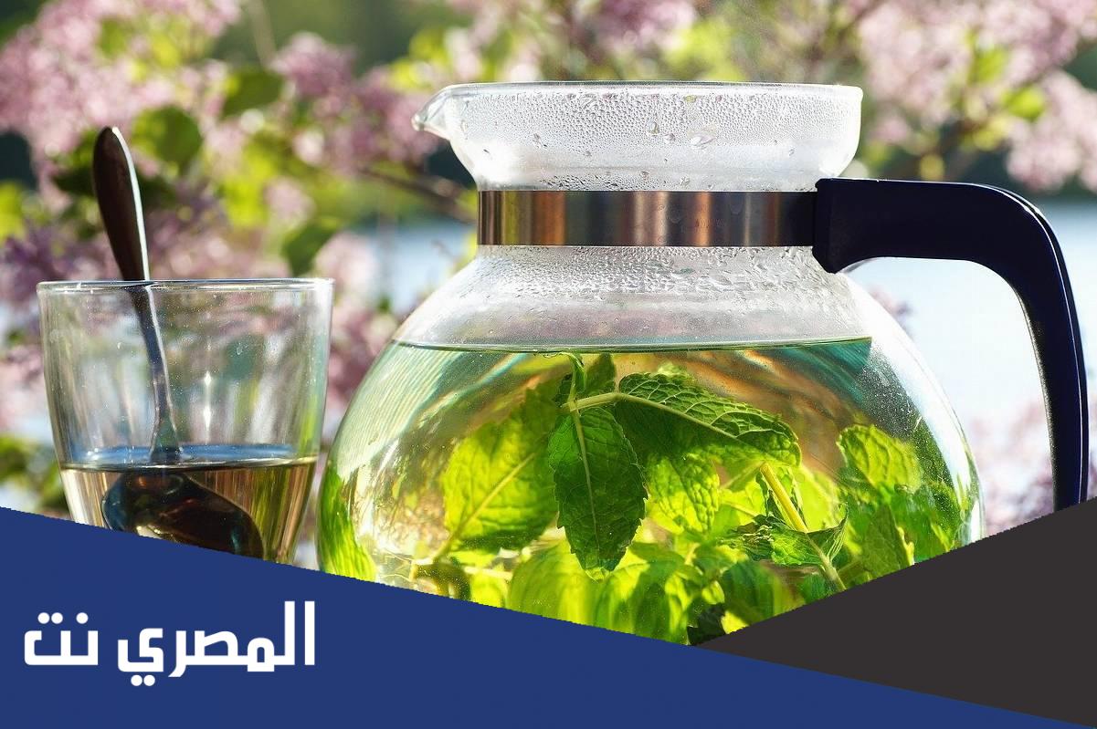 مشروبات طبيعية لعلاج ارتجاع المريء