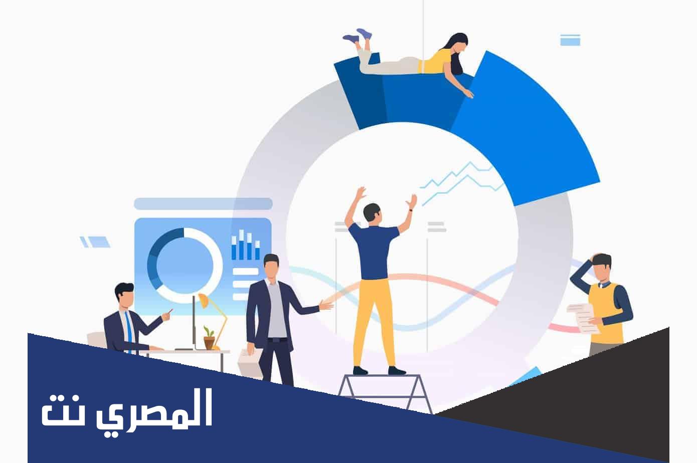 مشروع تخرج نظم معلومات جاهز pdf