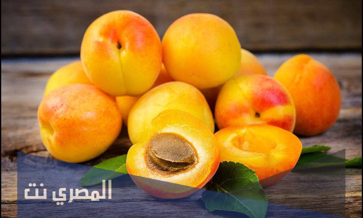 ما هو تفسير رؤية المشمش في المنام