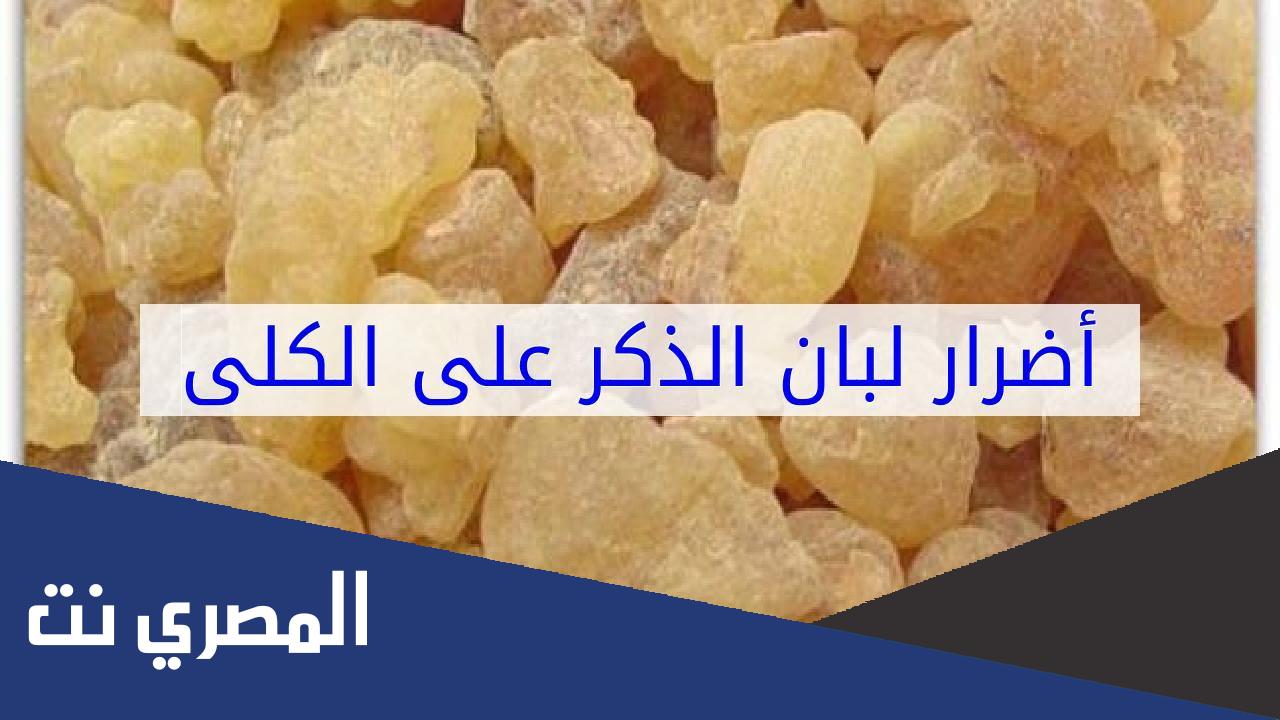مضار اللبان الذكر على الكلى