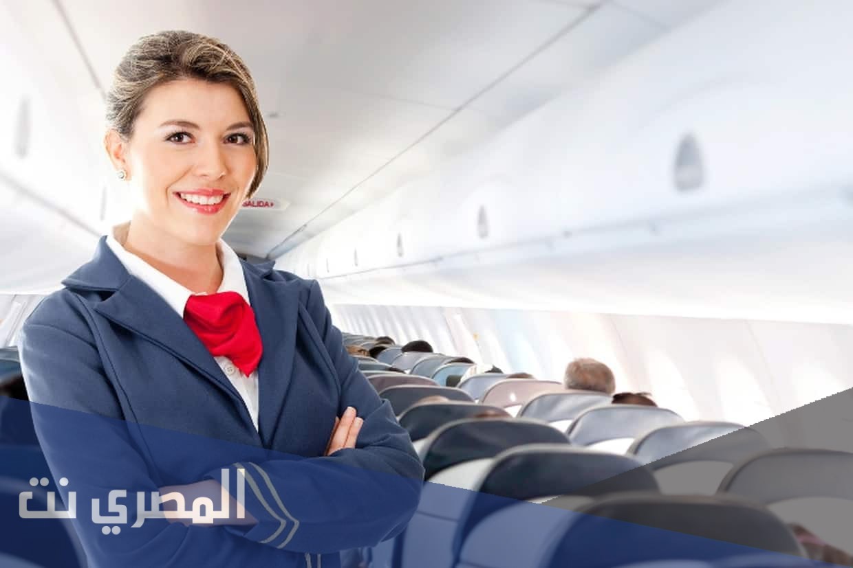 كم راتب مضيفة طيران في الخطوط السعودية