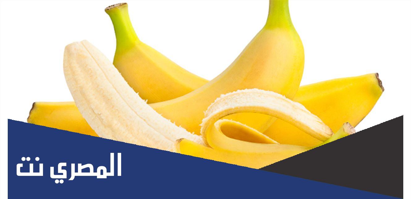 معلومات حول الفاكهة التي تعرف بطعام الفلاسفة