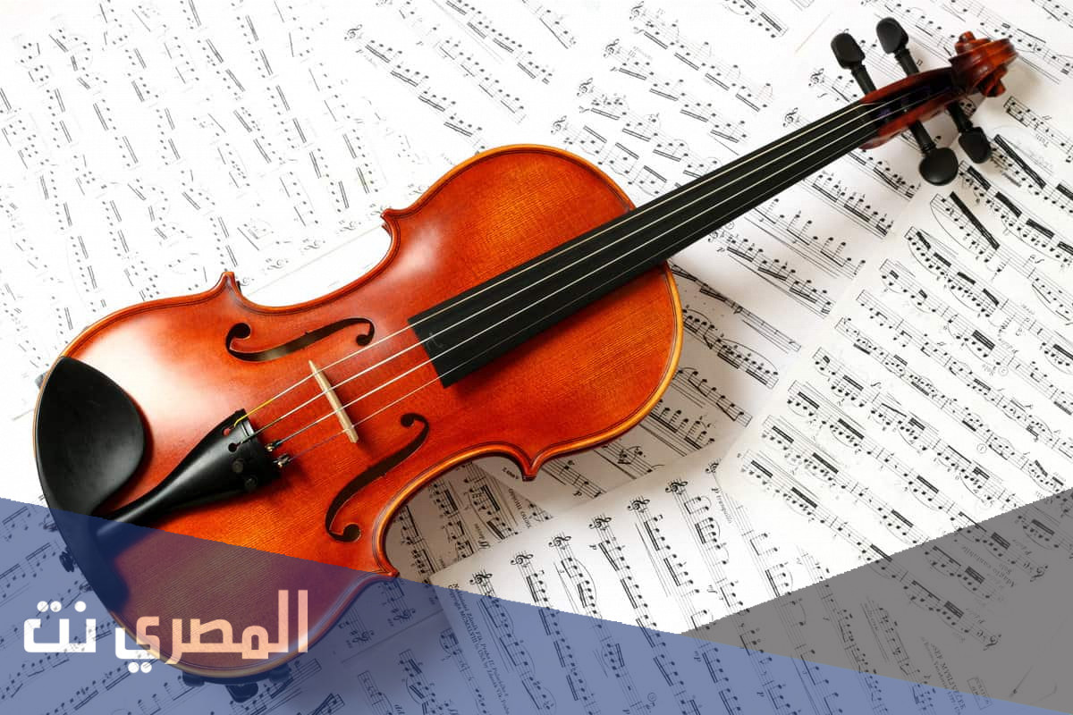 معلومات عن آلة الكمان