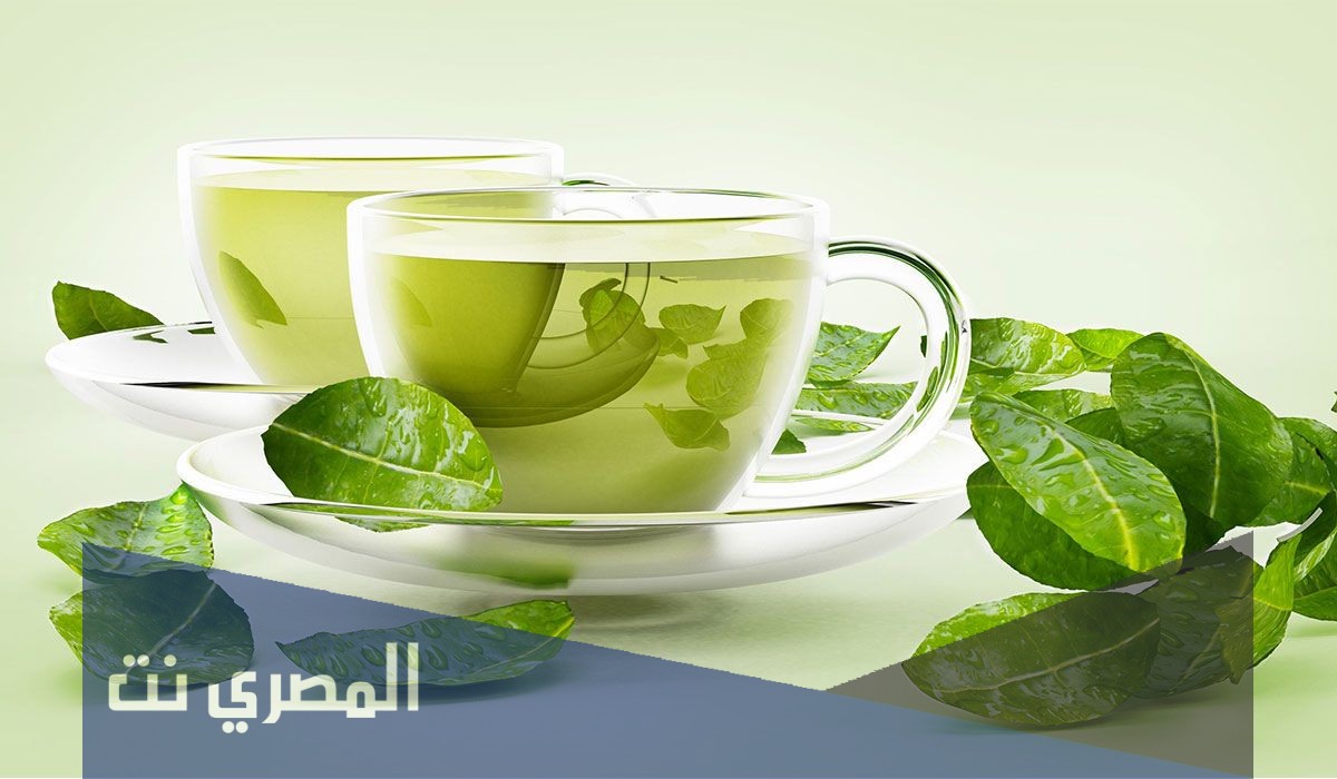 معلومات عن أقراص الشاى الأخضر