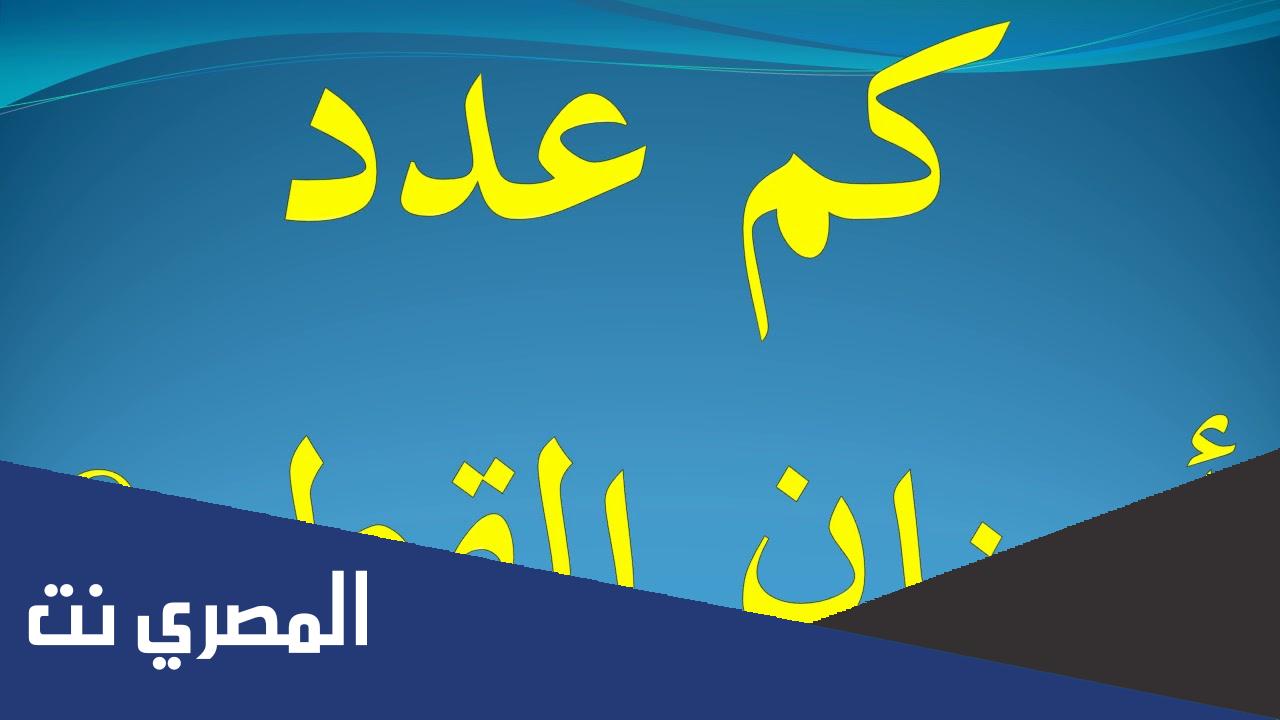 معلومات عن عدد أسنان القط