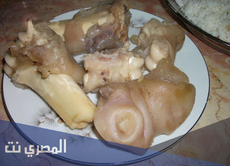 معلومات عن فوائد الكوارع