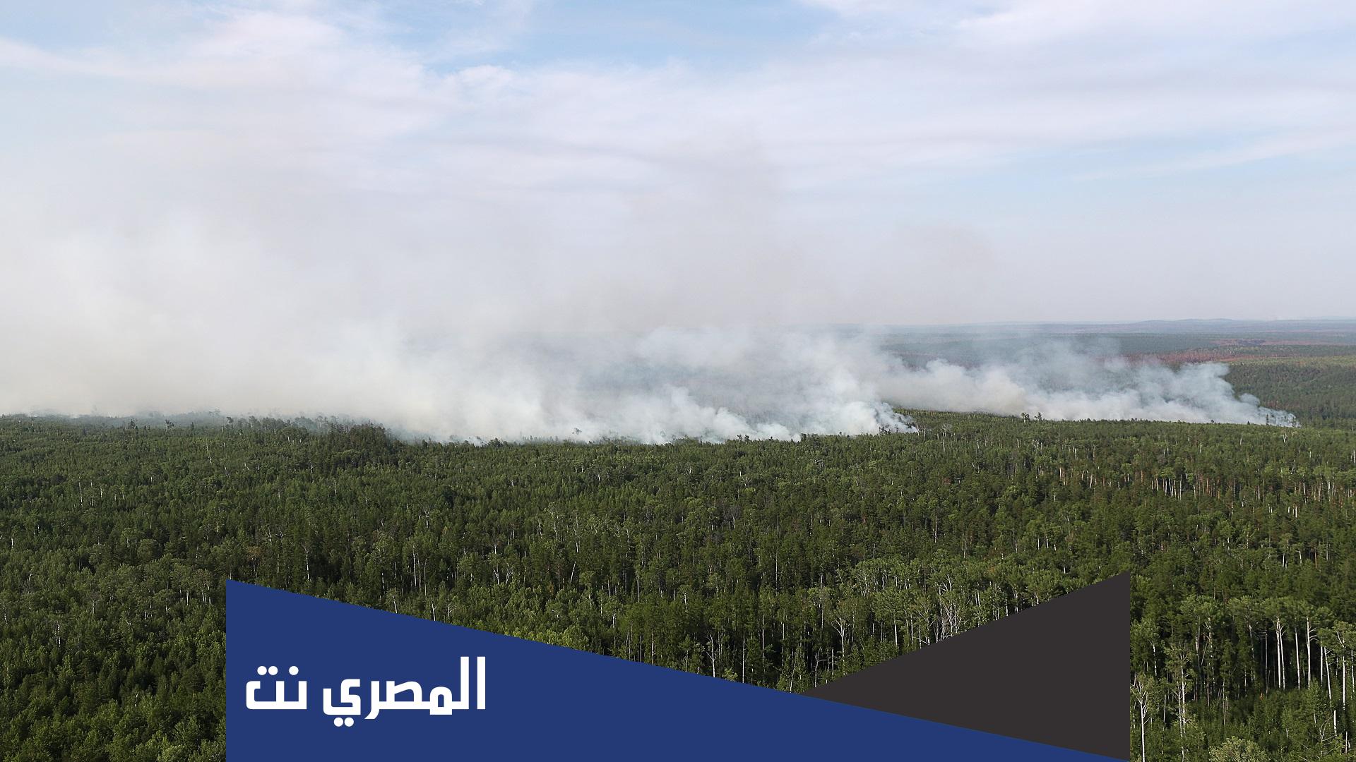 معلومات لا تعرفها عن حريق غابات الأمازون