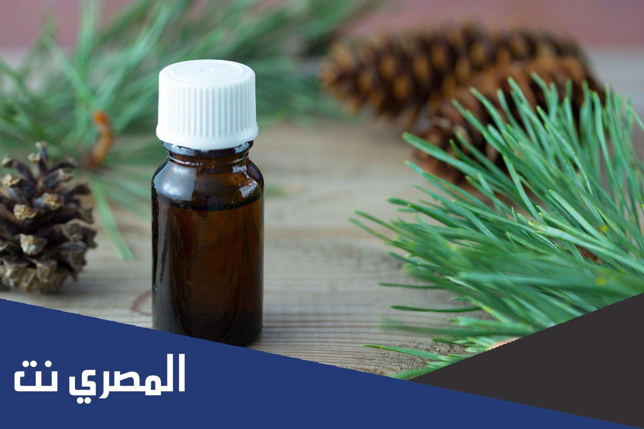 معلومات مهمة عن زيت كيشور