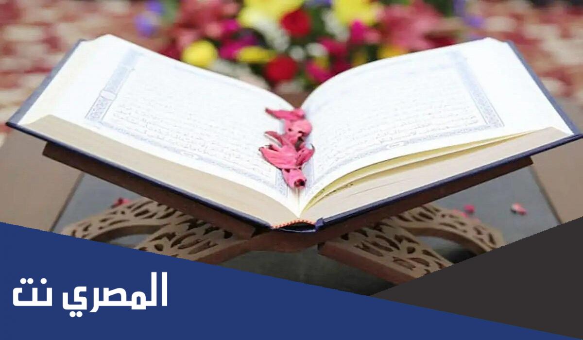 معنى كما تدين تدان فى القرآن