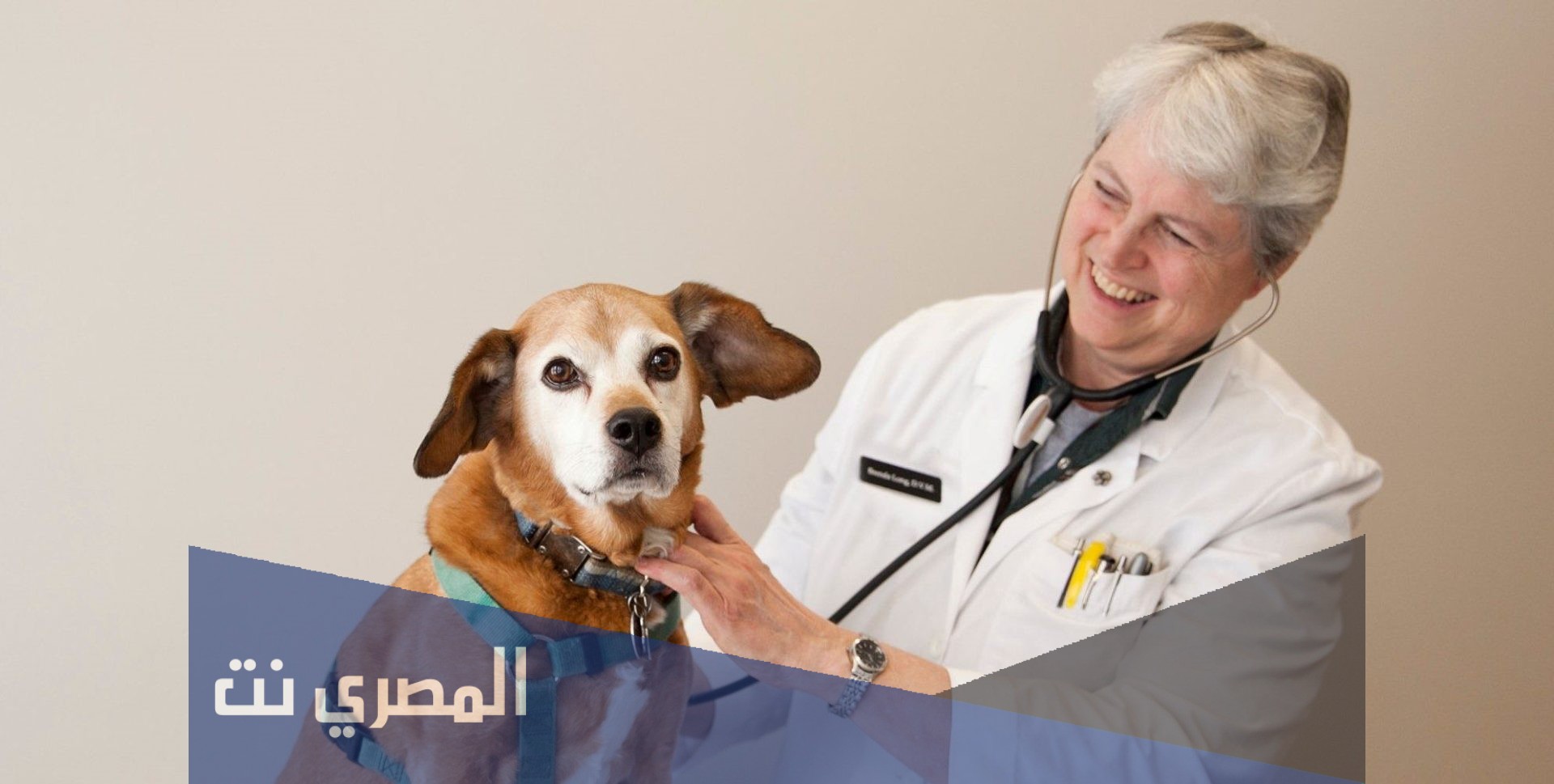من هو اول طبيب بيطري في العالم