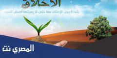 موضوع تعبير عن التلوث الأخلاقي