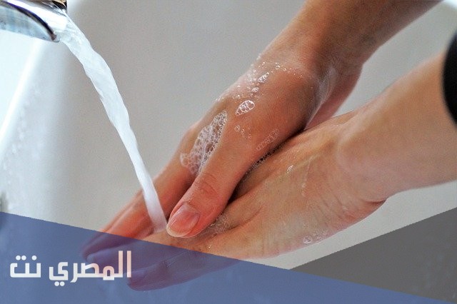 شامبو فافو Vavo Shampoo مضاد للفطريات ونتائجه