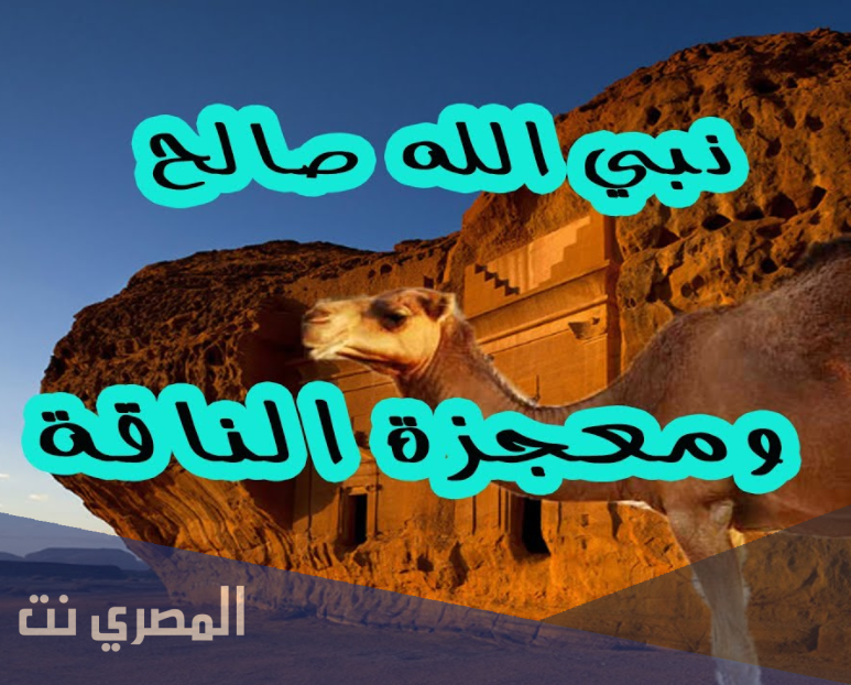 هذه الناقة كان حليبها يكفي قوم سيدنا صالح ولما ذبحت كانت الكارثة