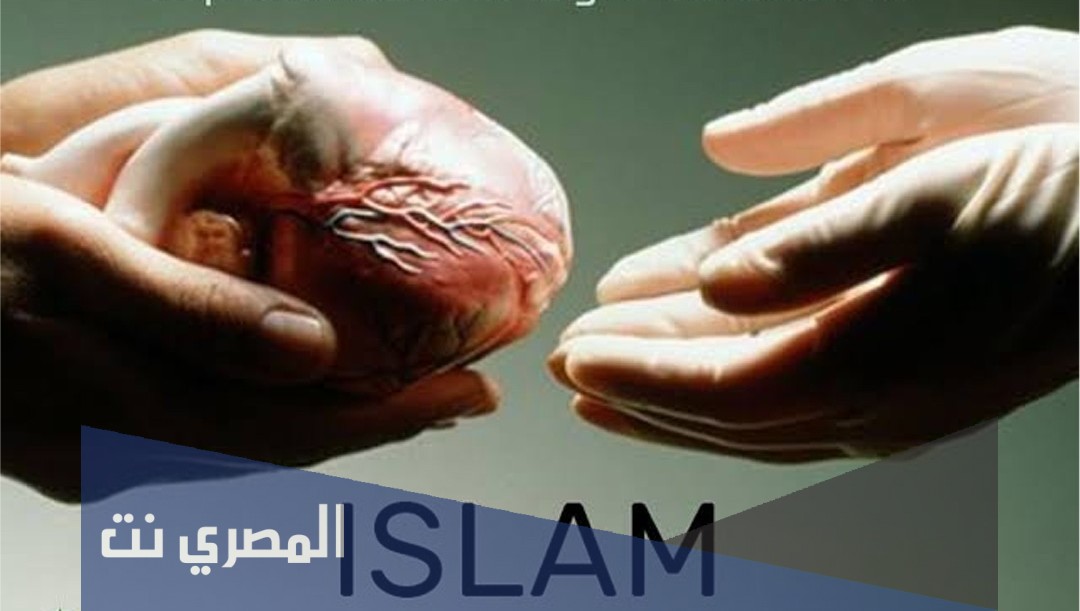 هل يجوز التبرع بالأعضاء بعد الموت في الاسلام