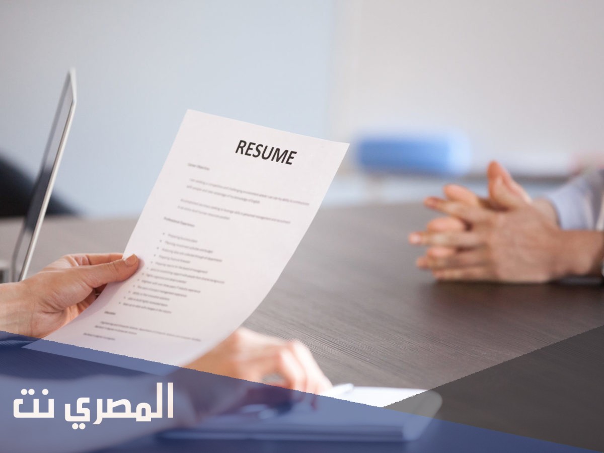وش اكتب في المهارات في السيرة الذاتية
