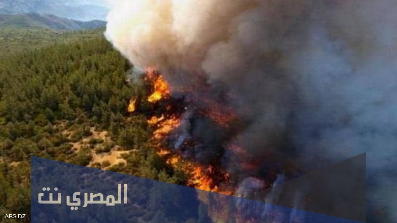 حرائق الغابات في الجزائر