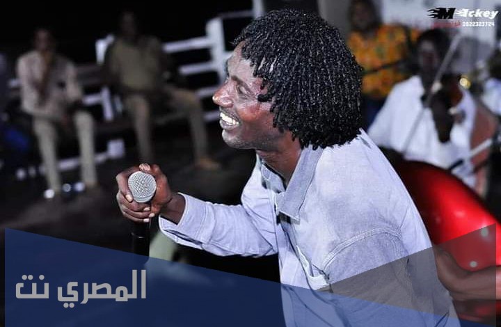 الفنان عاطف السماني