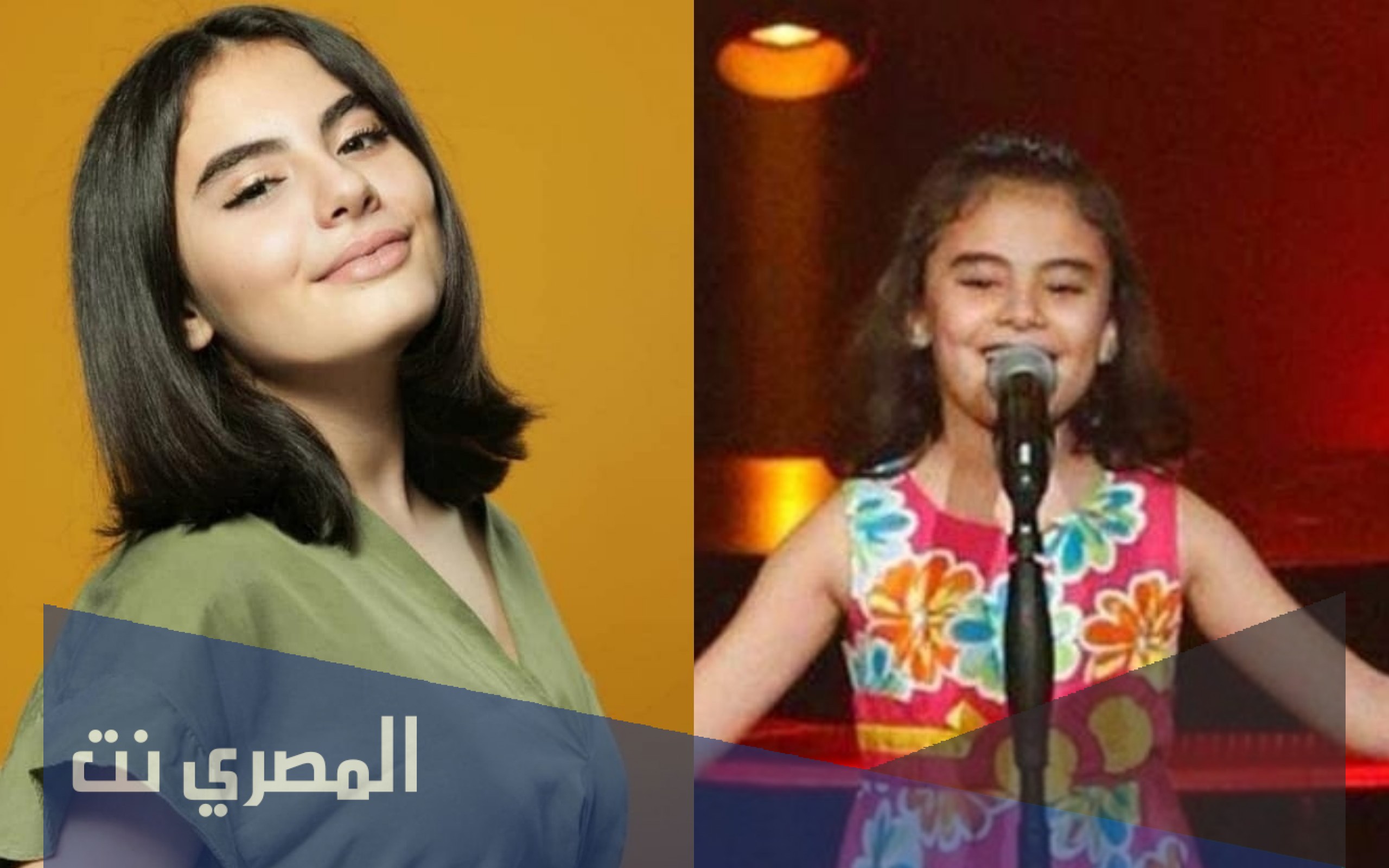 من هي غنى بو حمدان ويكيبيديا