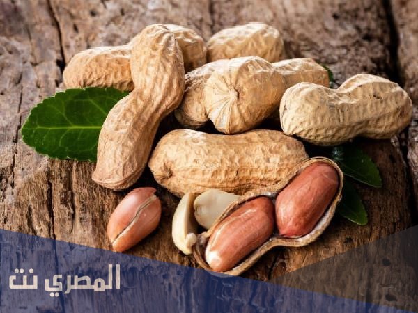 اي دولة ظهر الفول السوداني