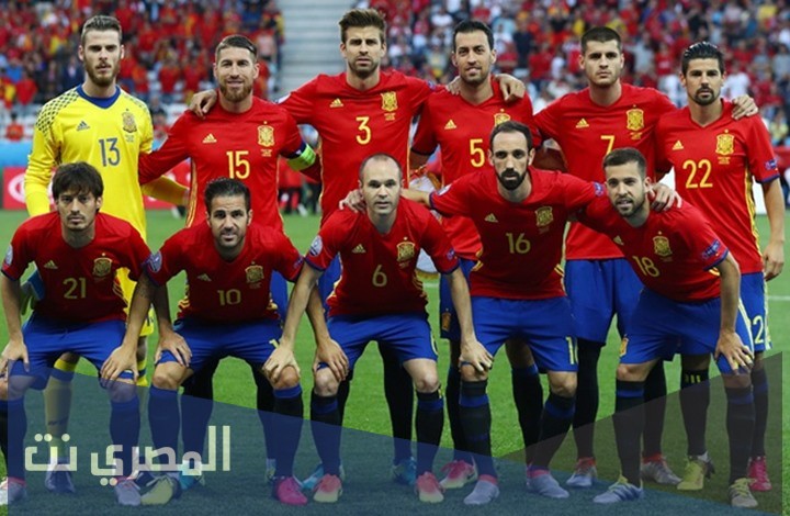 من هو بطل مونديال 2010