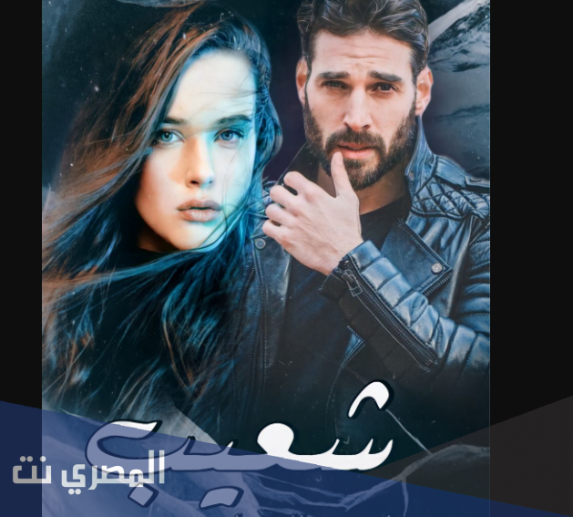 رواية شعيب نبضات بين الوجدان pdf