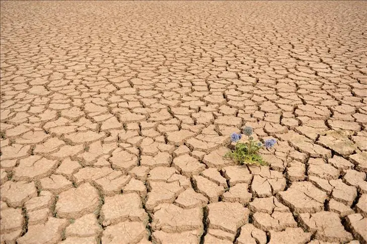 ما هو تفسير رؤية الجفاف في المنام