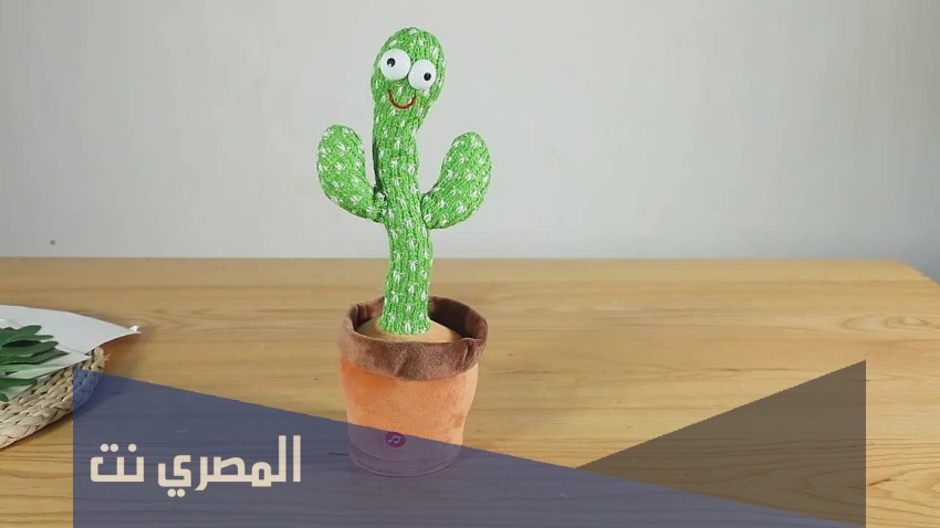 ما تأثير "الصبارة الراقصة" على الطفل؟