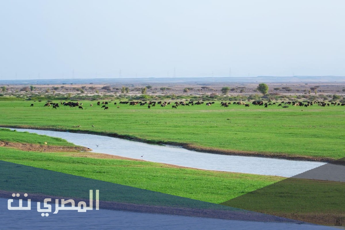 وادي عاهن اين يقع