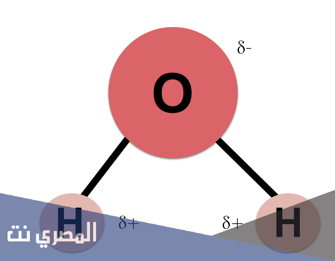 كيف تعمل قطبية جزيء الماء على جعله يتمتع بخصائصه