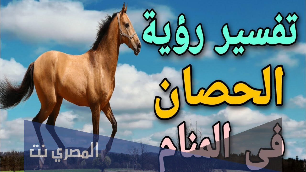 تفسير رؤية الخيل في حلم الرجل والمرأة لابن سيرين
