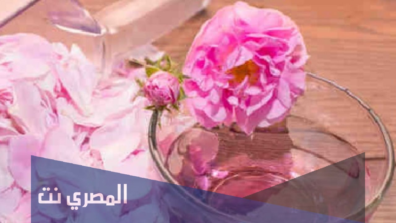 أضرار شرب ماء الورد