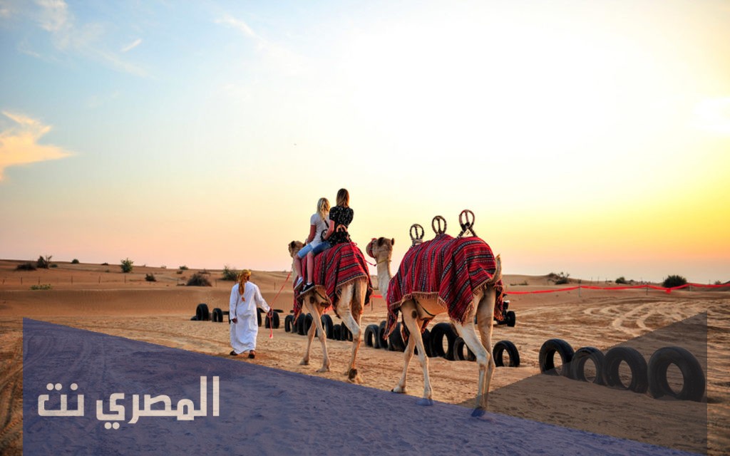 القنون وش يرجع