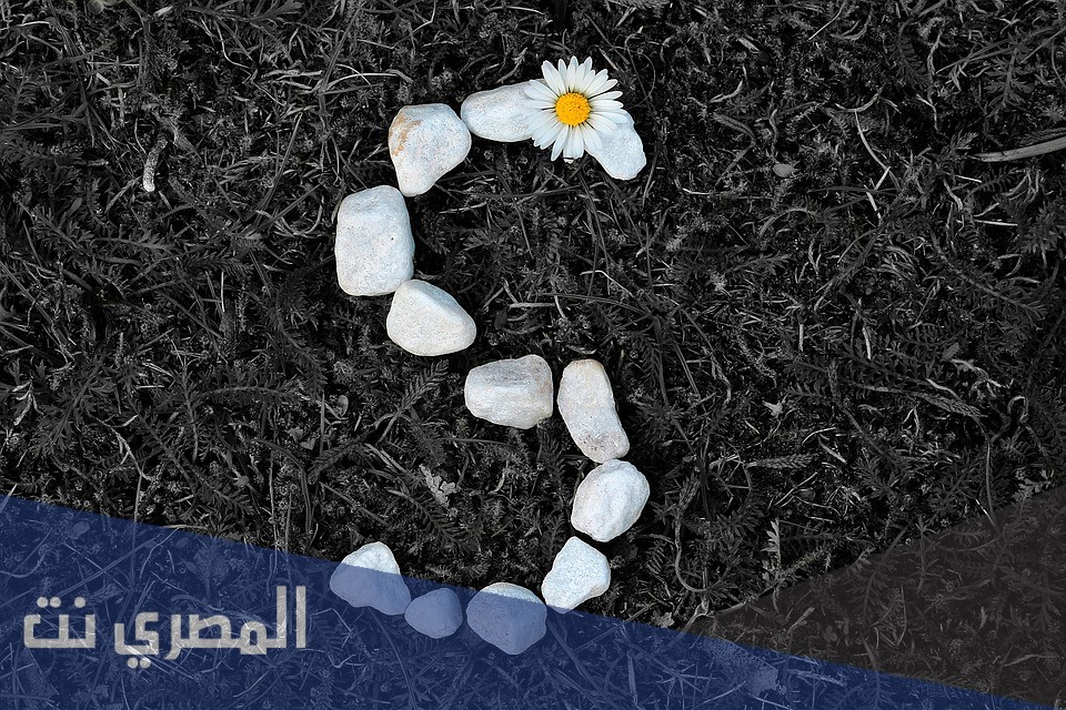 صور حرف S روعة, حرف السين مكتوب عليها