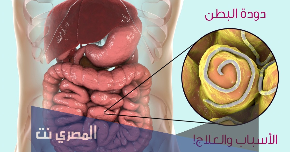 علاج ديدان المعدة