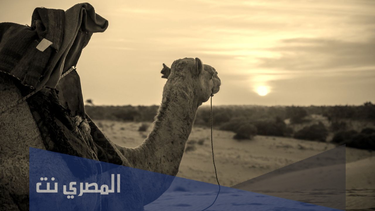 متى هاجر الرسول الى يثرب