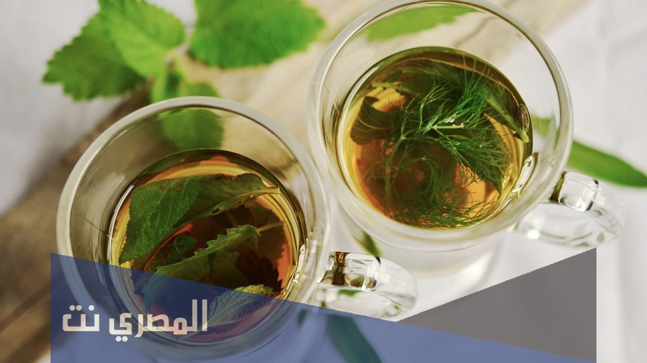 أسرع مشروبات لحرق الدهون