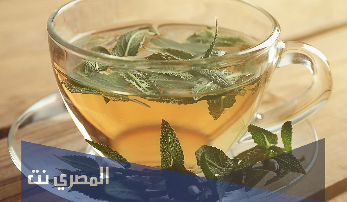 أضرار شرب الميرمية وقت الدورة الشهرية