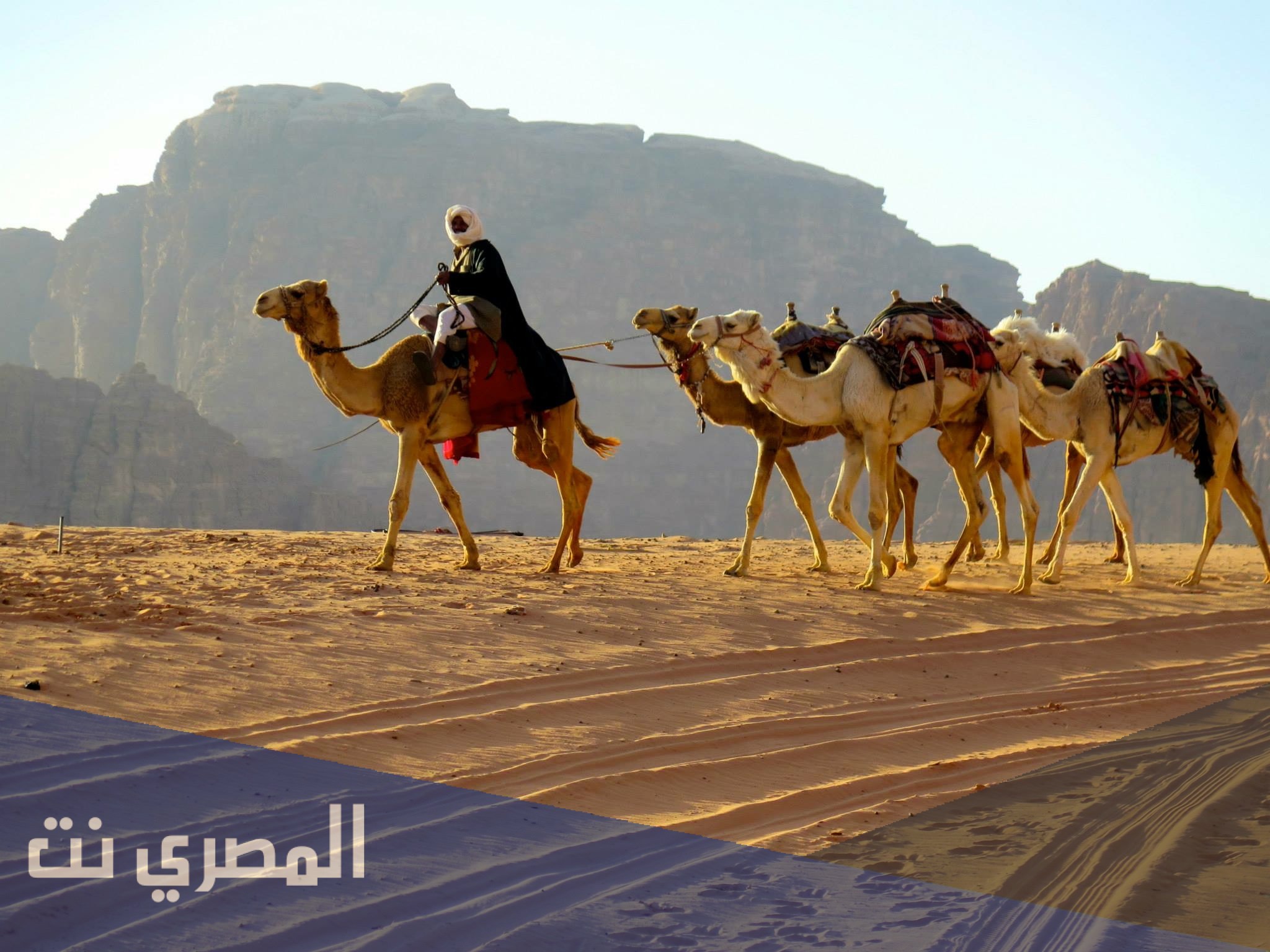 أكبر قبيلة في السعودية عدد
