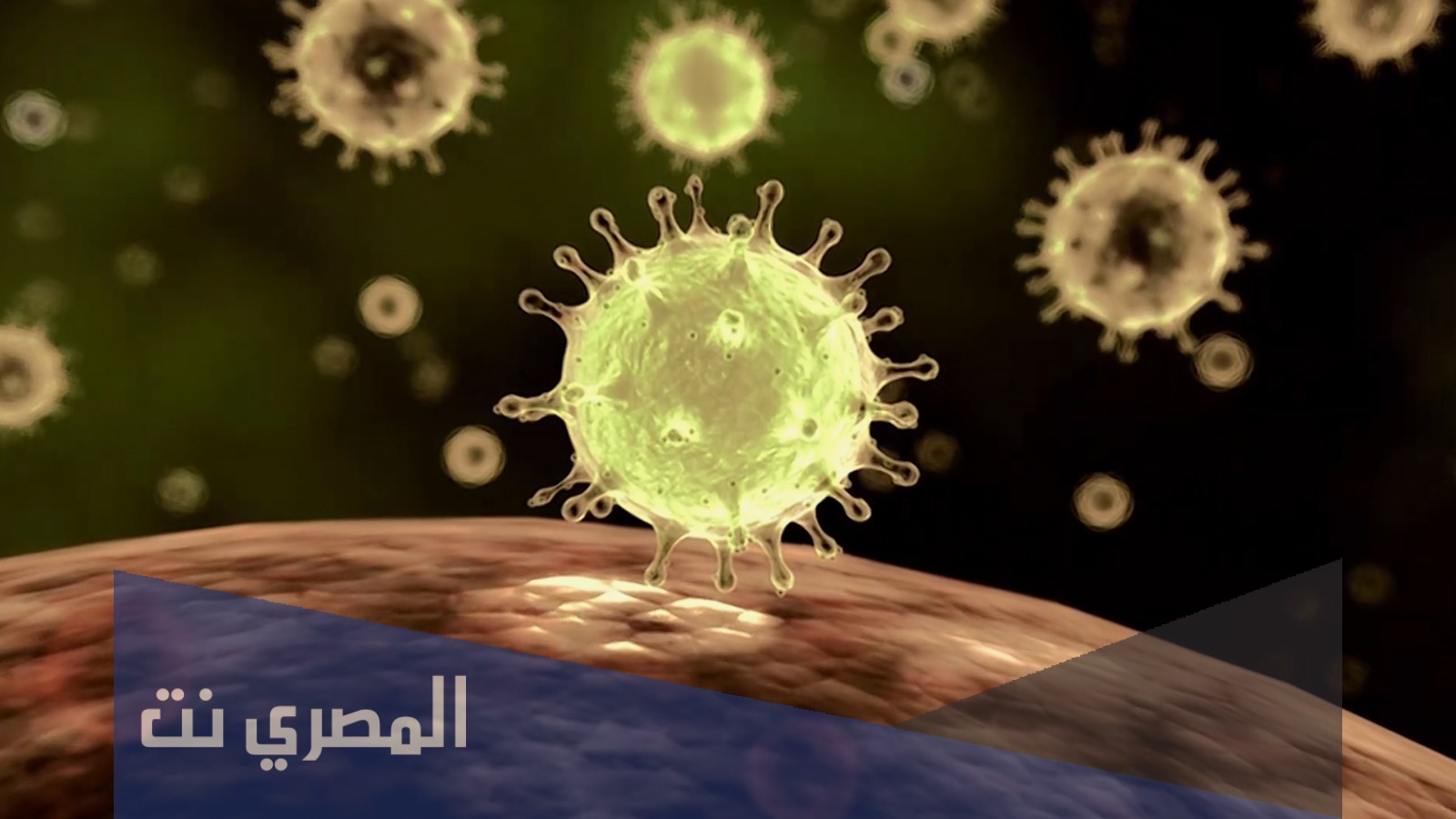 أنواع الأمراض التي تسببها الفيروسات