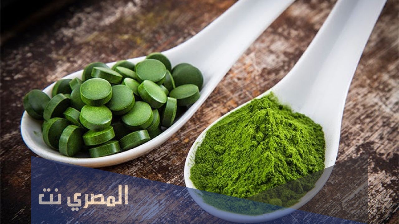 أنواع الطحالب وفوائدها العلاجية