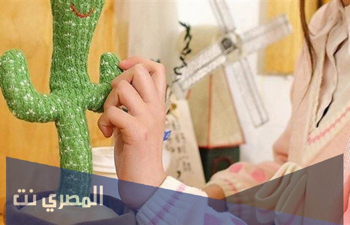 أين تباع الصبارة الراقصة في السعودية