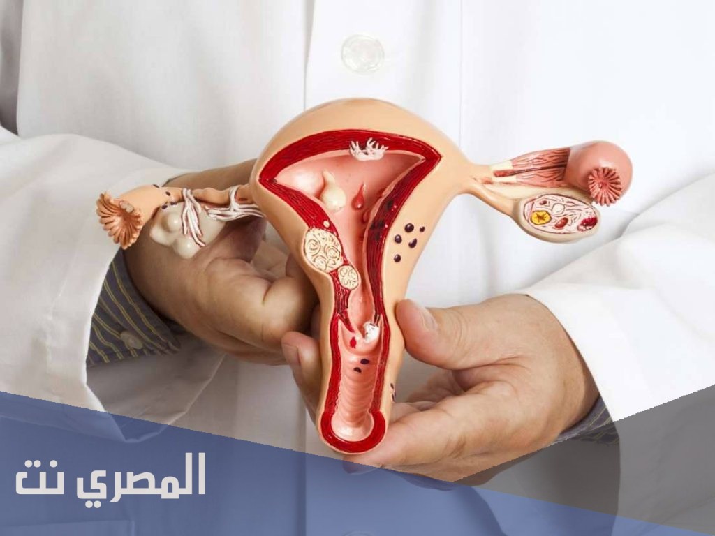 اسباب التهاب المهبل للحامل وعلاجها