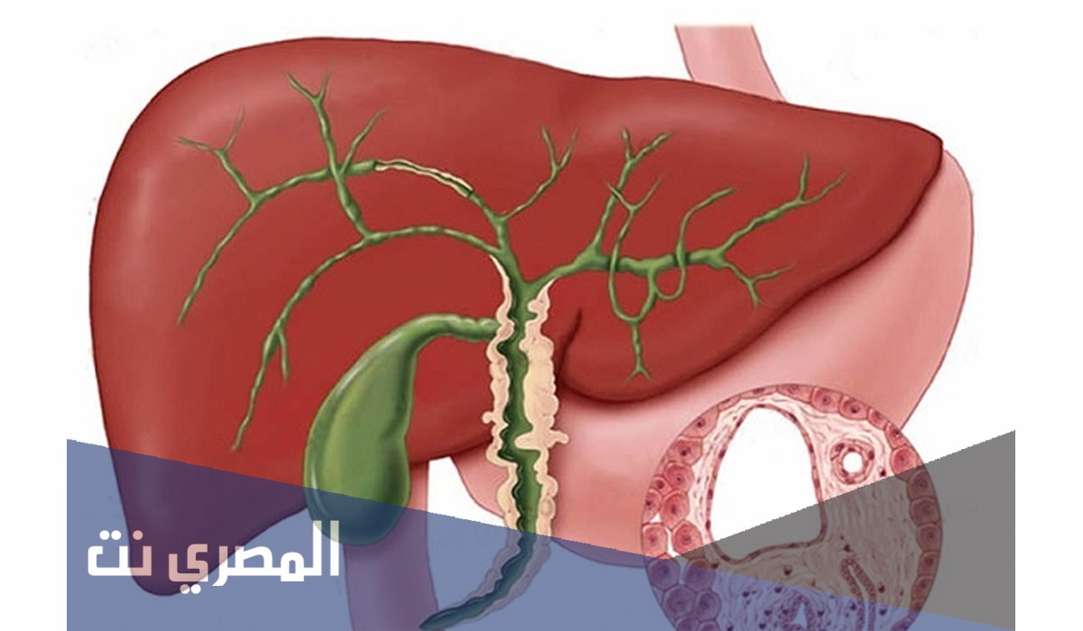 اعراض انسداد الأنابيب واسبابه