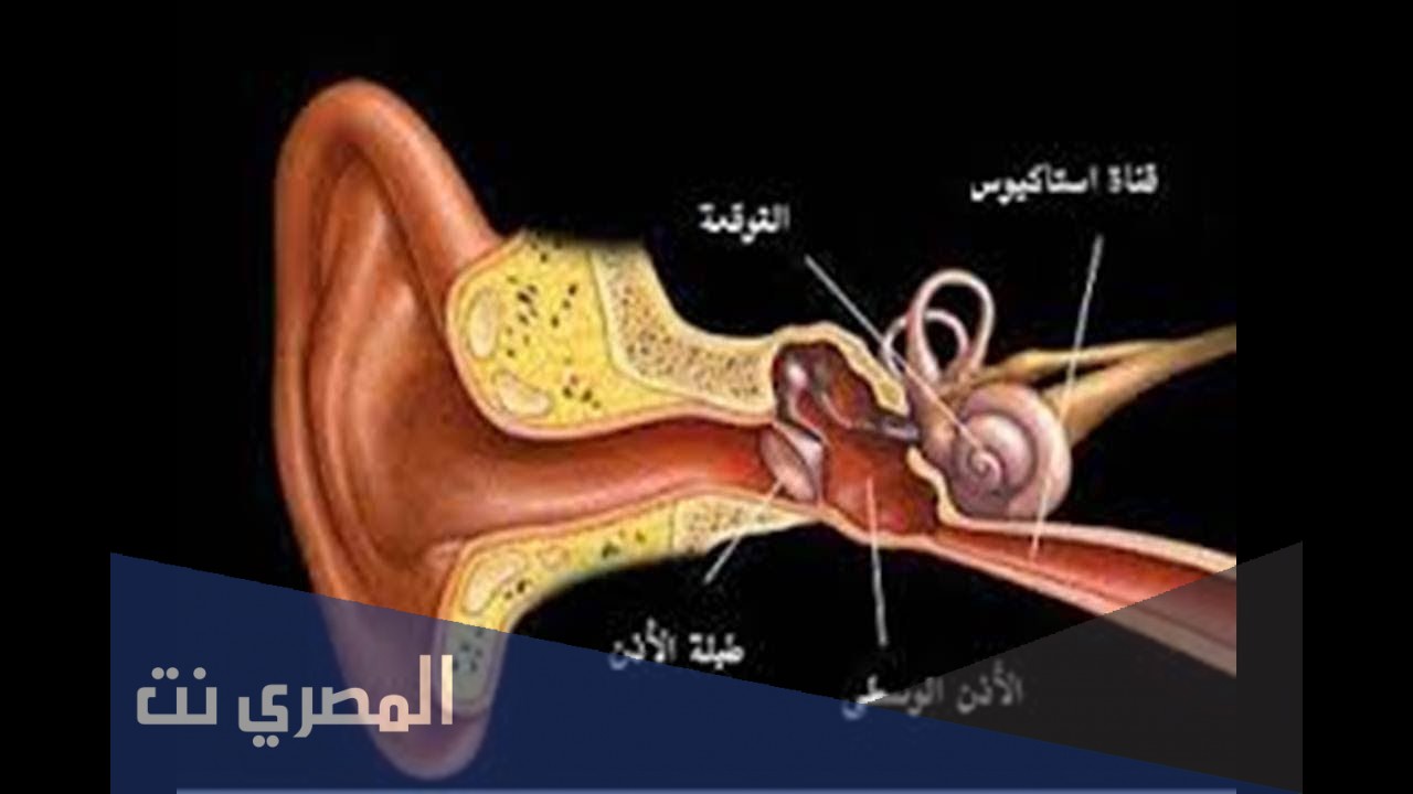 اعراض انسداد قناة استاكيوس