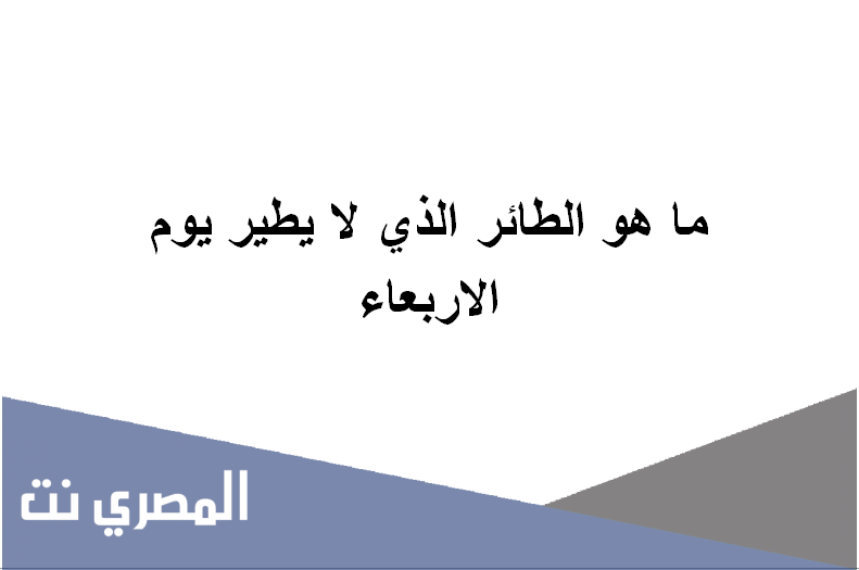 ما هو الطائر الذي لا يطير يوم الاربعاء