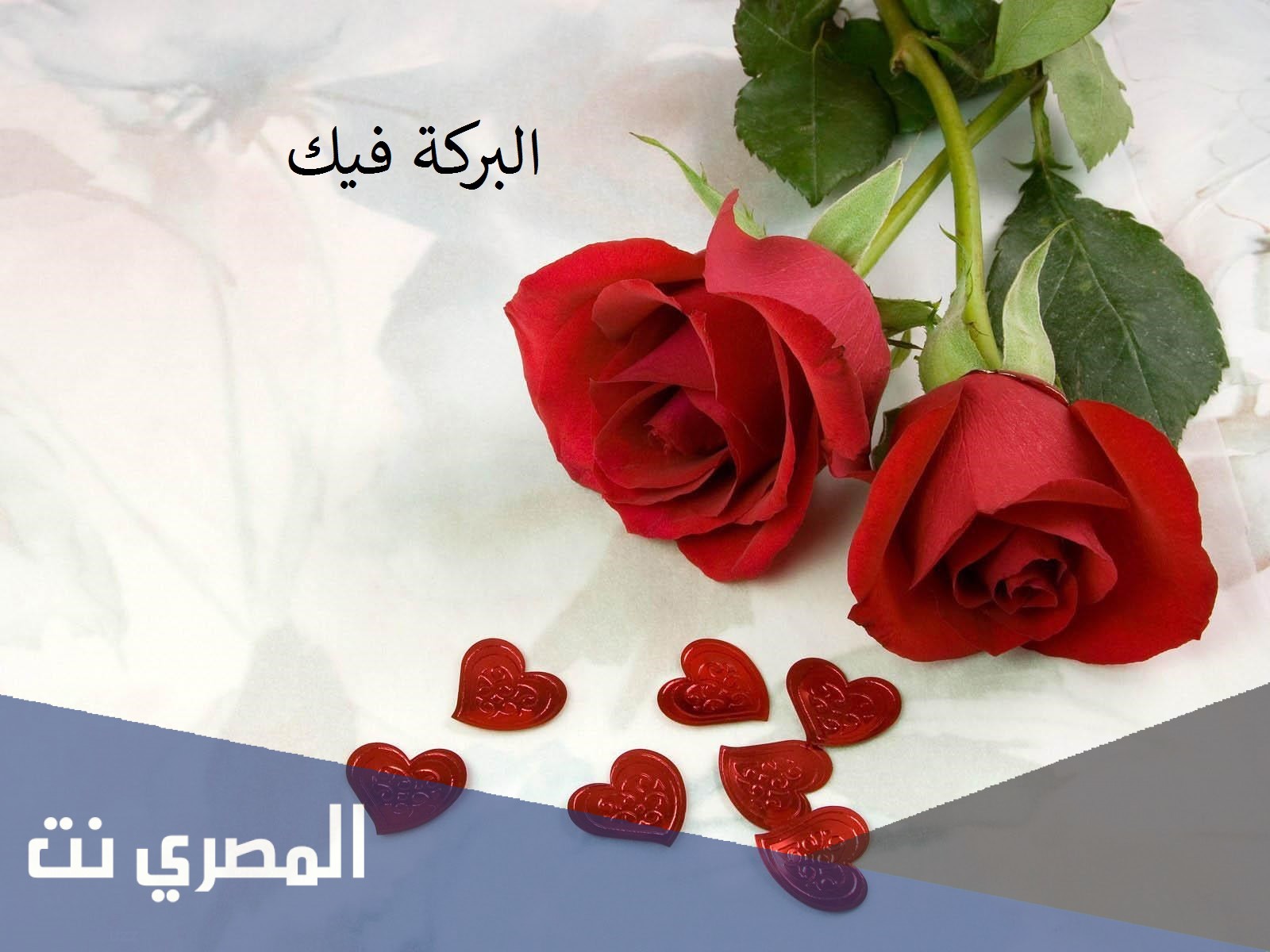 الرد على كلمة تشرفت فيك، اذا واحد قال تشرفت فيك وش ترد عليه