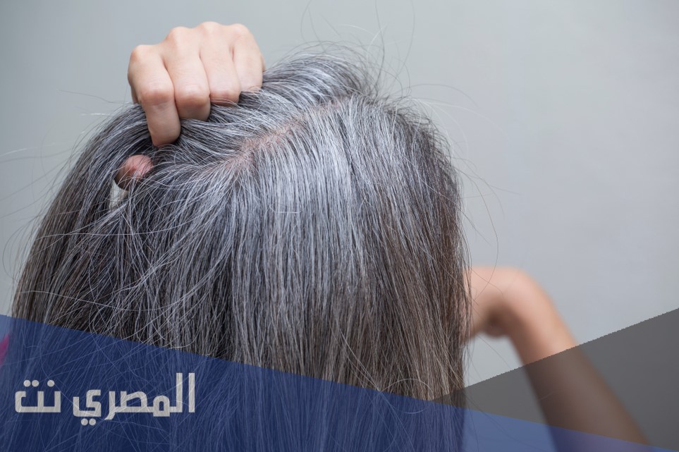 الشيب في الحلم للامام الصادق بالتفصيل