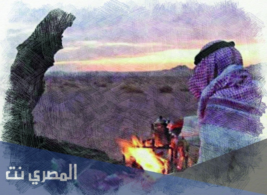 شيلة يا فلذات كبدي